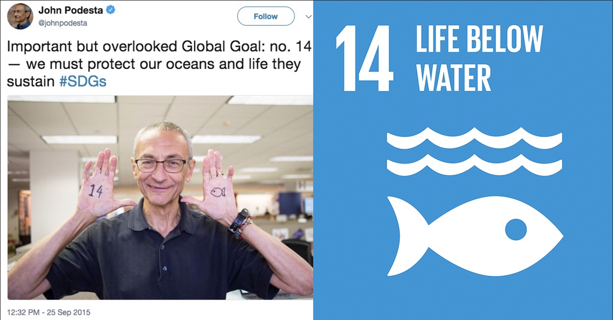 Udsagn på John Podestas Twitter-profil 25.9.2015