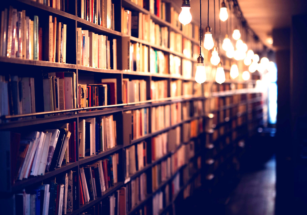 Cover-billede: Janko Ferlic, Unsplash.com